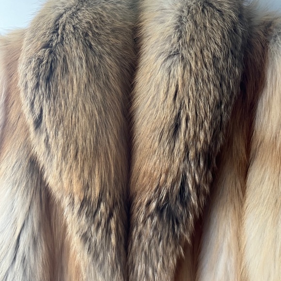Beautiful Golden island fox coat - Picture 4 of 16